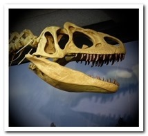 dino_02_thumb